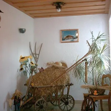 公寓 Beim Josef 施万高